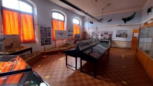 Scandicci, Sereni: “Lavoriamo per creare il primo museo della città. E magari un polo archeologico e paleontologico”