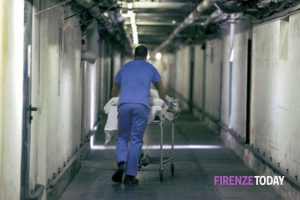 Petrucci (FdI): “La Regione ascolti il grido di aiuto dei medici”