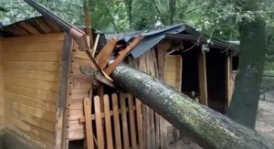 San Donnino, maltempo danneggia il rifugio per animali: “Danni per 8.000 euro, aiutateci”