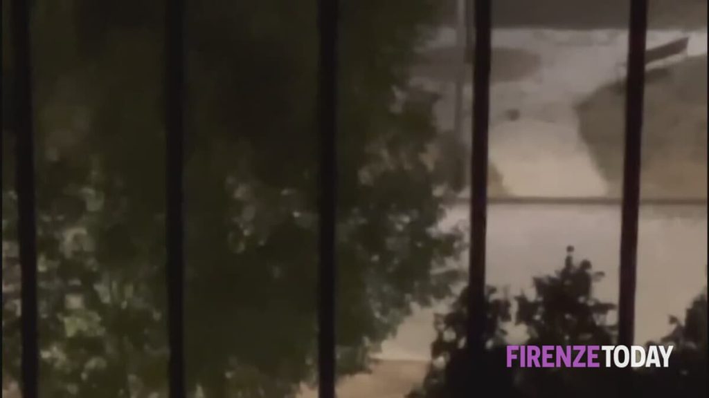 "Offese, minacce, schiamazzi in piena notte. Non viviamo più". La denuncia dei residenti / VIDEO