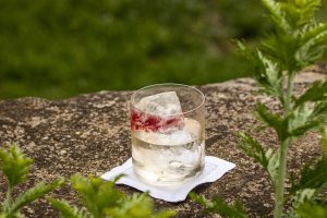 Serata Mixology a Villa San Michele con Portofino Dry Gin