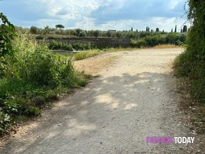 “Aggredita e scippata mentre passeggiavo: adesso sono preoccupata”
