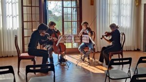 Festival "Violoncelli in Armonia"