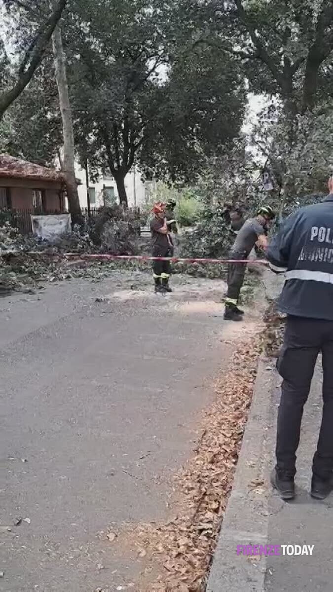 Isolotto: cade un albero accanto al circolo VIDEO