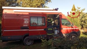 Si perde nel bosco mentre cerca funghi, salvato dai vigili del fuoco
