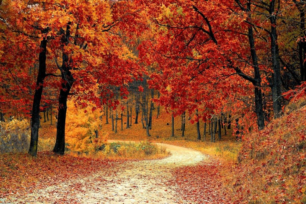 Tre gite fuori porta da fare in Toscana in autunno