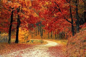 Tre gite fuori porta da fare in Toscana in autunno