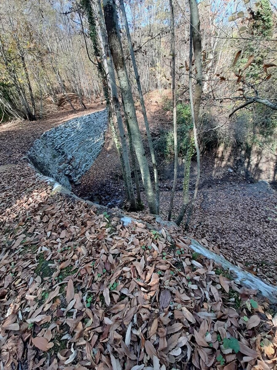 Malore durante un'escursione, muore nei boschi