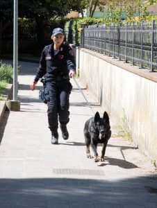Droga: arrestati con quasi tre chili di cocaina 