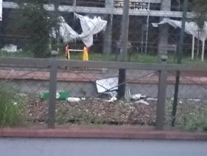 Via Galliano, il comitato: "Giardino di nuovo fuori controllo" / FOTO