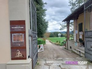 Il Parco Mediceo di Pratolino tornerà a splendere, sempre più vicino il recupero del 'viale degli Zampilli' / FOTO