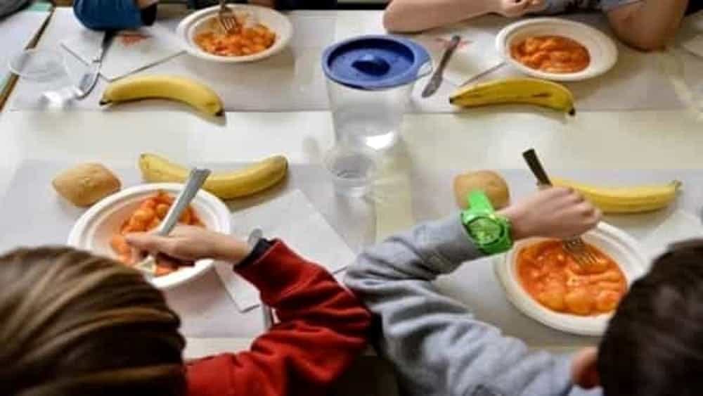 Intossicazione di salmonella nelle scuole: trovato il colpevole