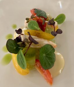 Food, nuovo ristorante in città: un cOsmos del gusto nel centro di Firenze  FOTO