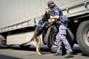 Maxi sequestro di cocaina in autostrada
