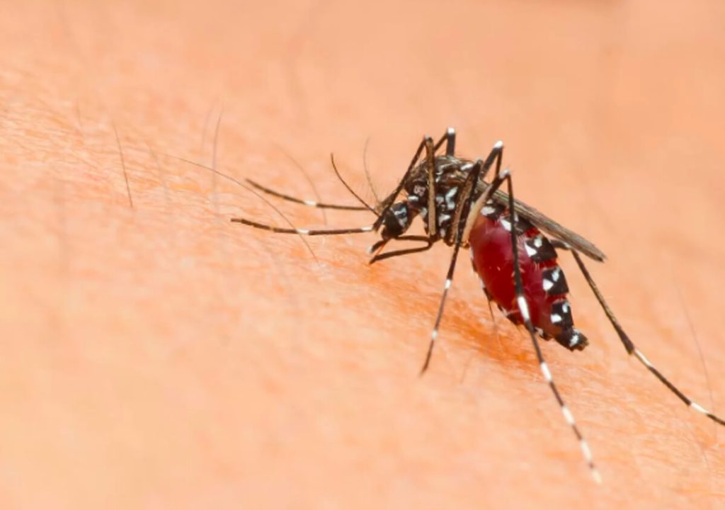 Farmacentro lancia la campagna ‘Difenditi dalla Dengue’