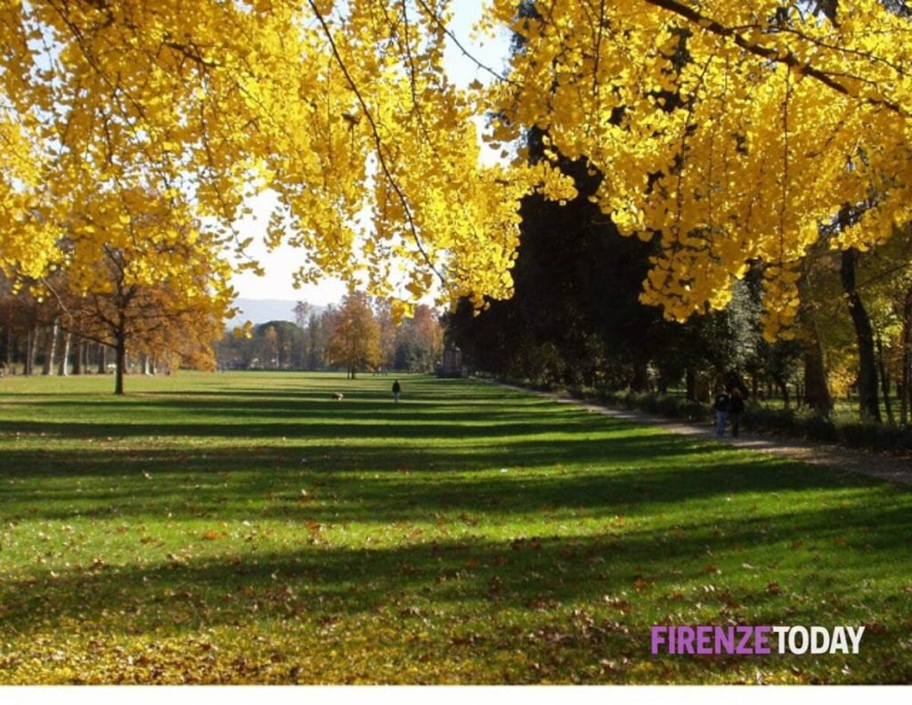 Ambiente, sul verde pacchetto da 3 milioni di euro: "Alberi, orti e aree gioco"