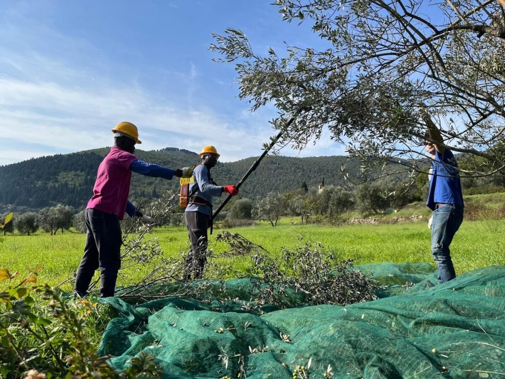 Agricoltura, la terra come riscatto: “Così ho avuto una seconda opportunità” /FOTO
