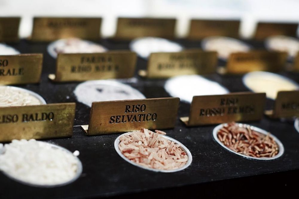 Pitti Taste 2024