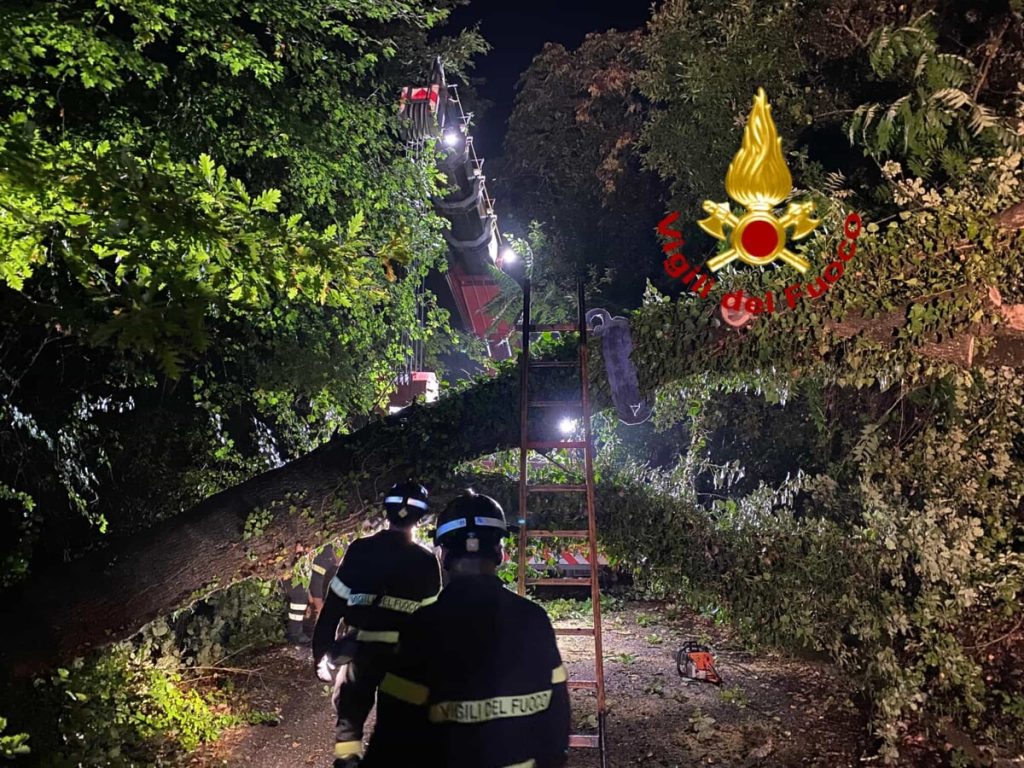 Maltempo, tantissimi alberi caduti. E i fiumi tornano a far paura