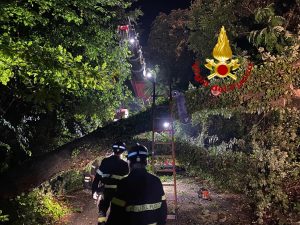 Maltempo, tantissimi alberi caduti. E i fiumi tornano a far paura