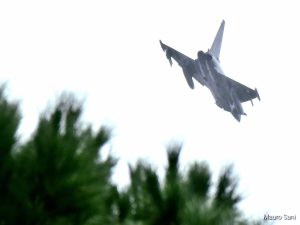 Caccia in volo su Firenze, ecco perché / FOTO