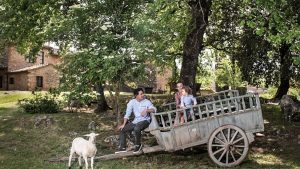 Nell’azienda che salvò la Cinta Senese dall’estinzione oggi una giovane allevatrice fa grandi salumi