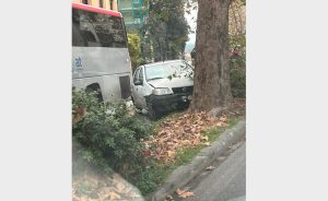 Auto contro un albero e traffico bloccato / FOTO