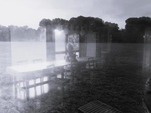 Mostra “Le Cascine, metamorfosi e conservazione - L’inaspettato e l’invisibile”