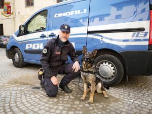 Le Cure: oltre 150 grammi di cocaina nascosti in cantina