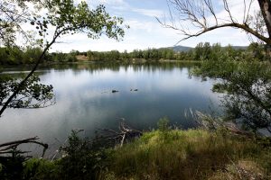 Oasi di Arnovecchio, visita a tema in occasione della "Giornata mondiale delle Zone Umide"