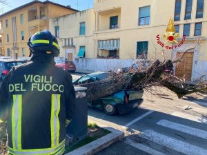 Fucecchio, albero cade su un'auto / FOTO