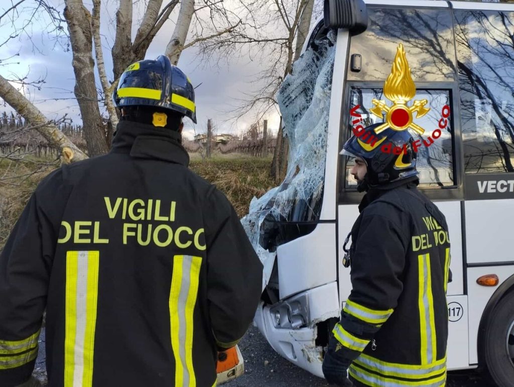 Scuolabus colpito da un albero / FOTO