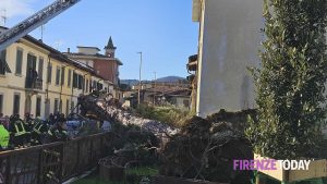 Paura a Scandicci: gigantesco albero cade in giardino pubblico  FOTO e VIDEO