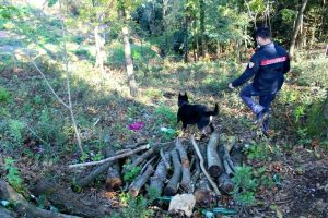 Sparatoria nel bosco, grave 29enne