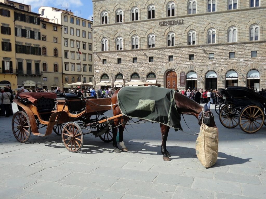 Paura in centro, cavallo imbizzarrito semina il panico nelle vie cittadine