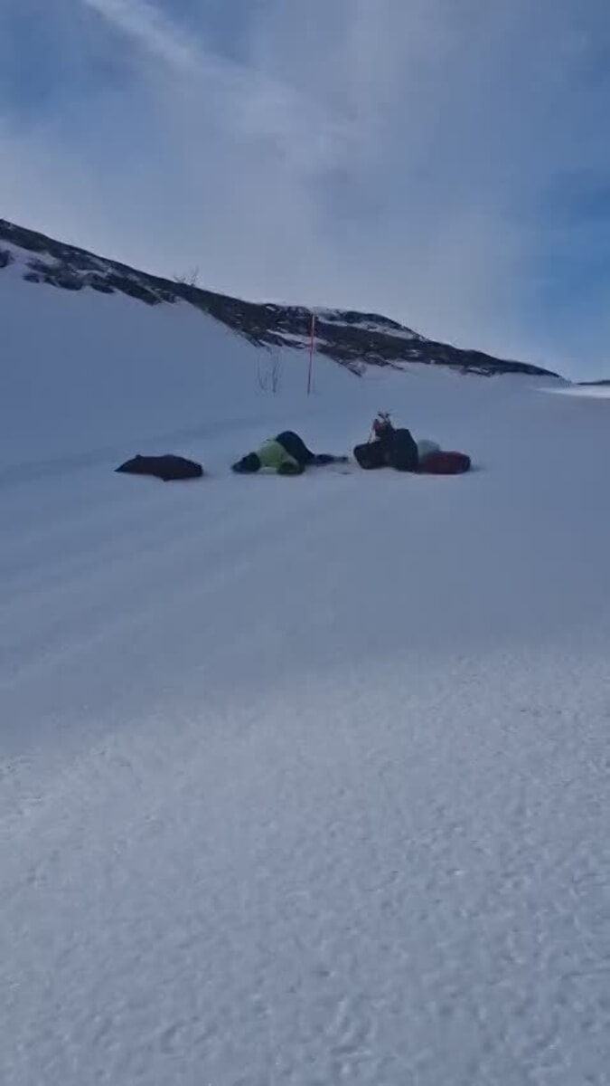 Dopo 14 giorni ritrovata viva la canina dispersa nelle montagne dell’Abetone