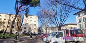 Forte vento: intervento dei vigili del fuoco per rimuovere ramo in piazza Cardinale Elia dalla Costa / FOTO