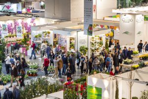Business di fiori e piante, la Toscana sboccia ancora: “Regina del florovivaismo”