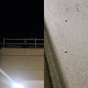 Sassi giù dal cavalcavia, paura a Statuto