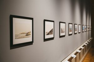 A Villa Bardini la mostra "Forme della Natura. Fotografie di Marcello Fara"