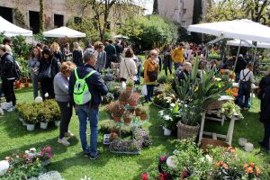 "Firenze Flower Show": mostra mercato piante rare e inconsuete